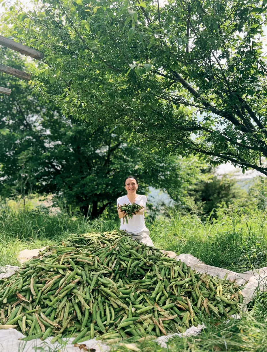 seraf-vadi-galeri-hasat_page_1_image_6-opt