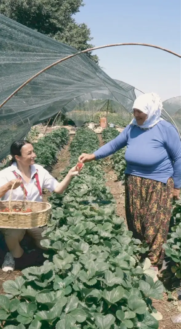 seraf-vadi-galeri-hasat_page_1_image_8-opt