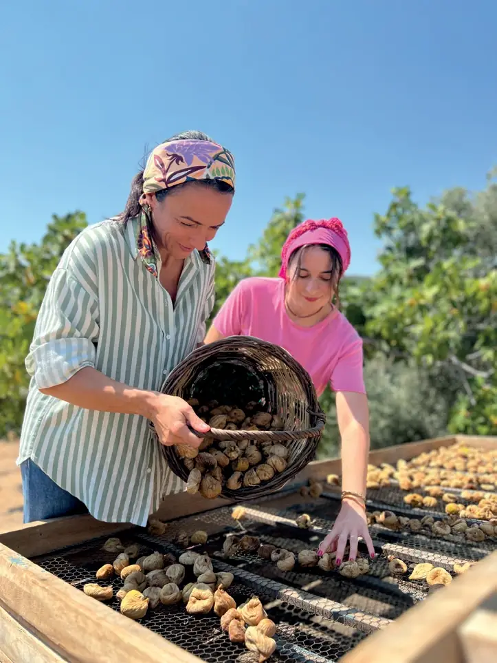 seraf-vadi-galeri-hasat_page_2_image_4-opt